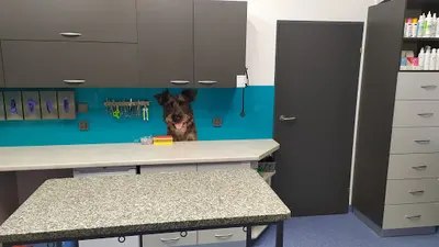 Lecznica dla Zwierząt ERJOT M. Rokosz, A. Januszkiewicz